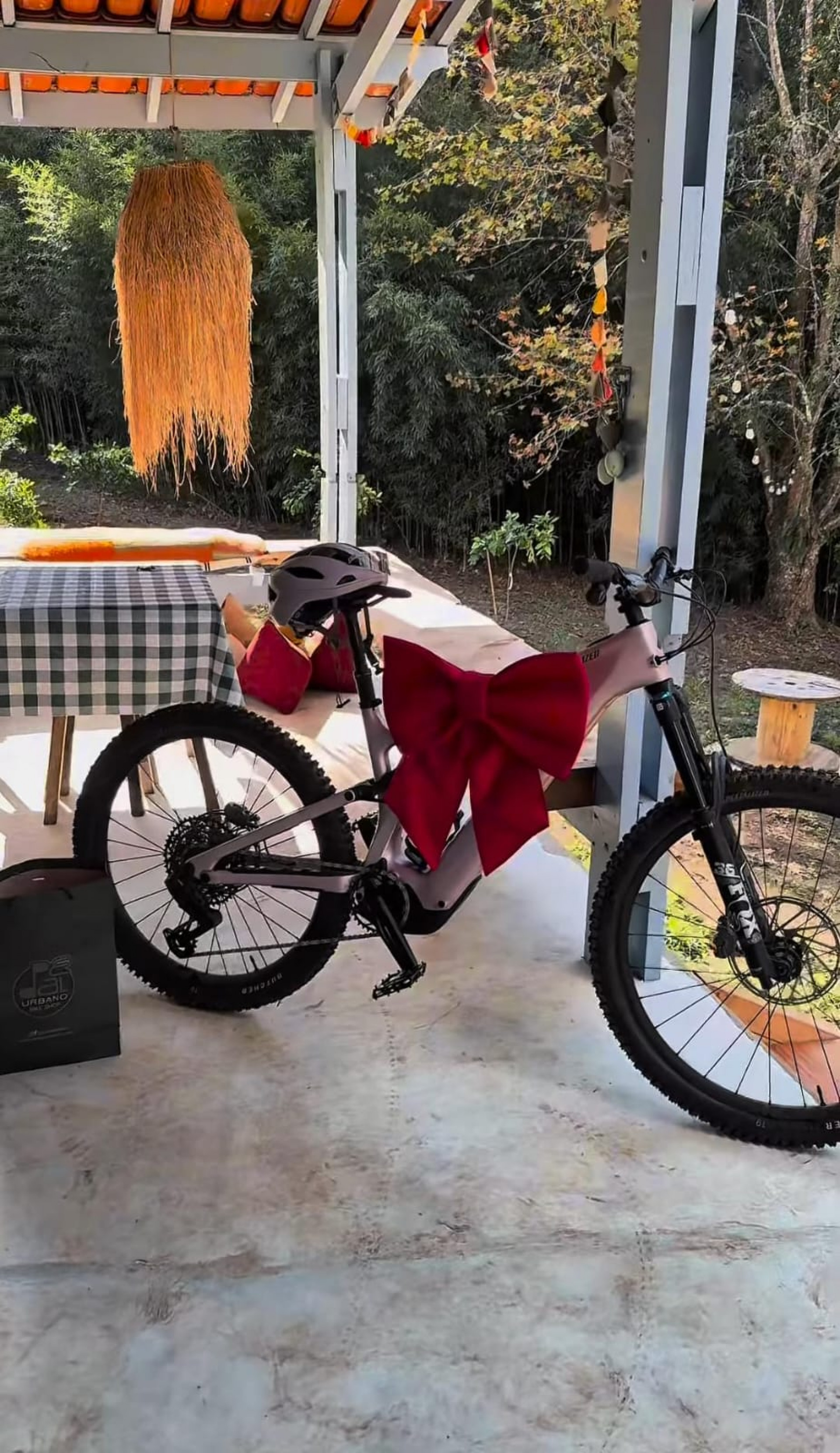 Fernanda Lima ganha bicicleta de Rodrigo Hilbert - Reprodução de vídeo / Instagram