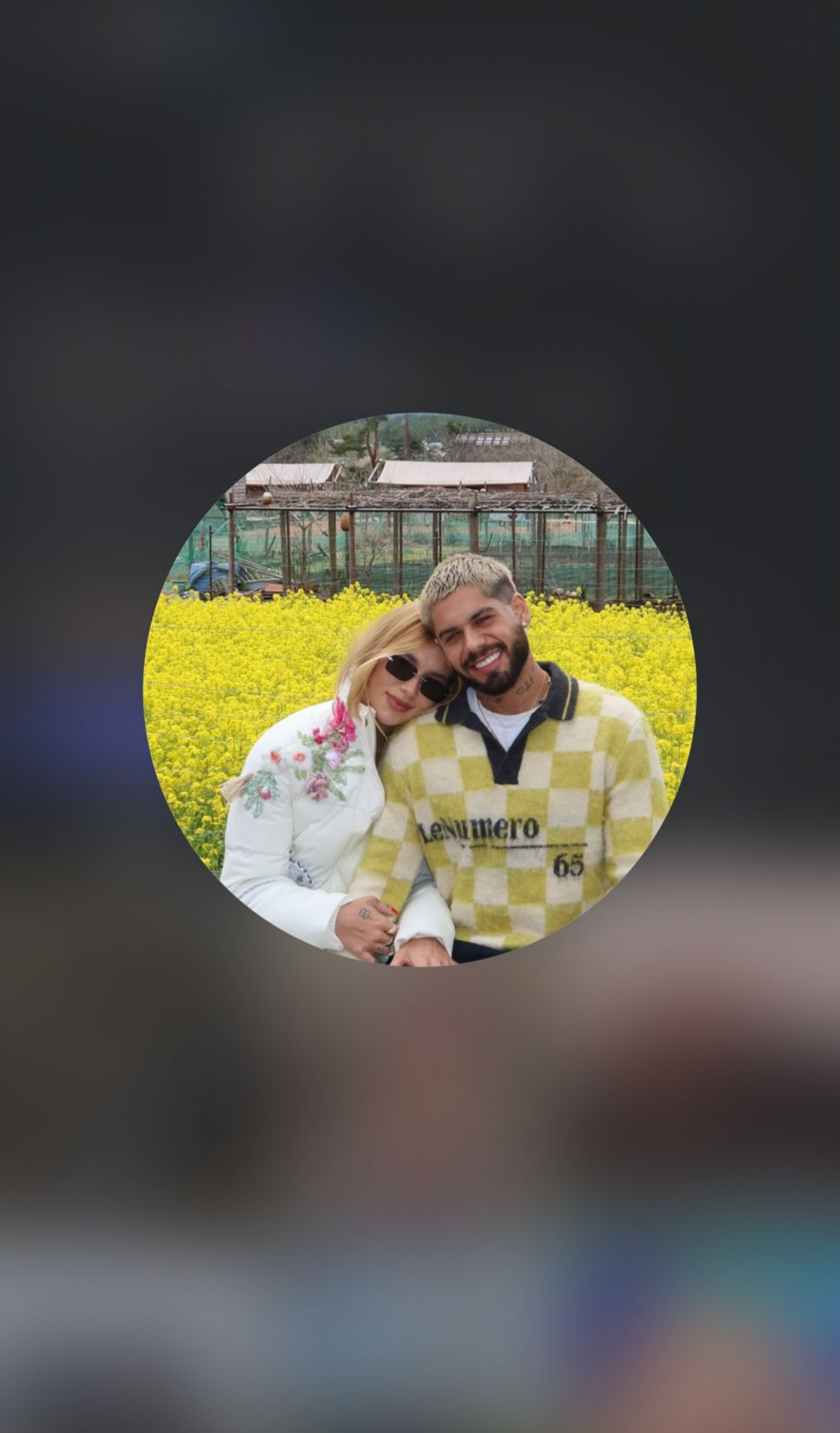 Virginia manteve a foto de perfil com Zé Felipe, mesmo após o comunicado do término - reprodução Instagram