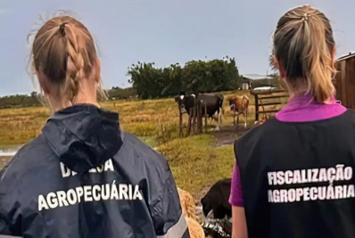 Zoológico de Brasília é fechado após suspeita de gripe aviária