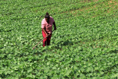 Edital seleciona 36 projetos para fortalecer agricultura familiar