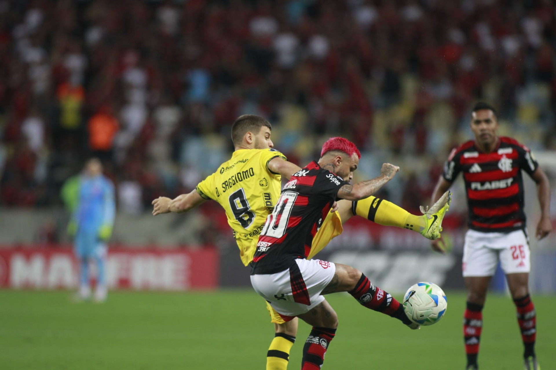 Flamengo x Deportivo Táchira, pela Libertadores - Reginaldo Pimenta / Agência O Dia