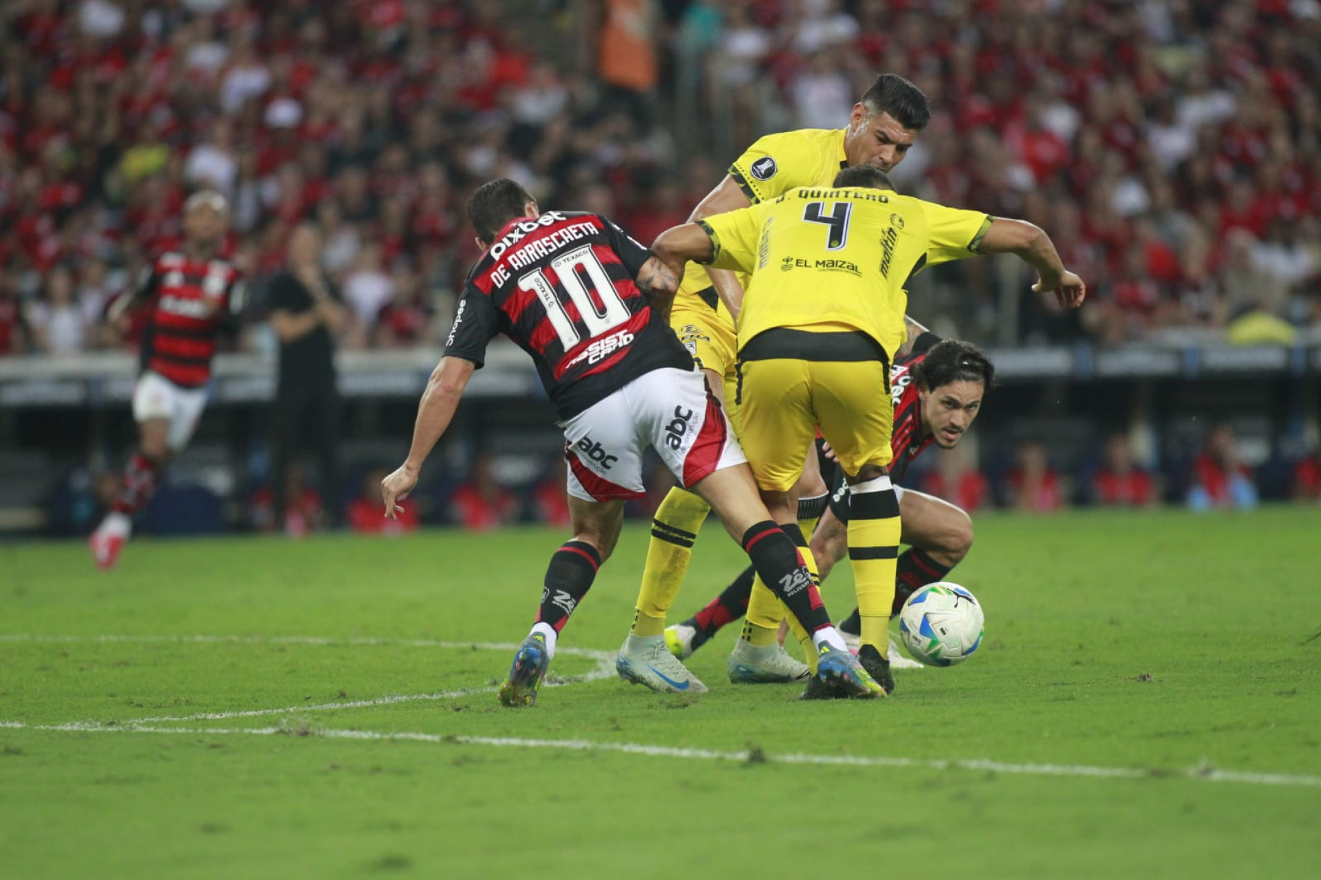 Flamengo x Deportivo Táchira, pela Libertadores - Reginaldo Pimenta / Agência O Dia