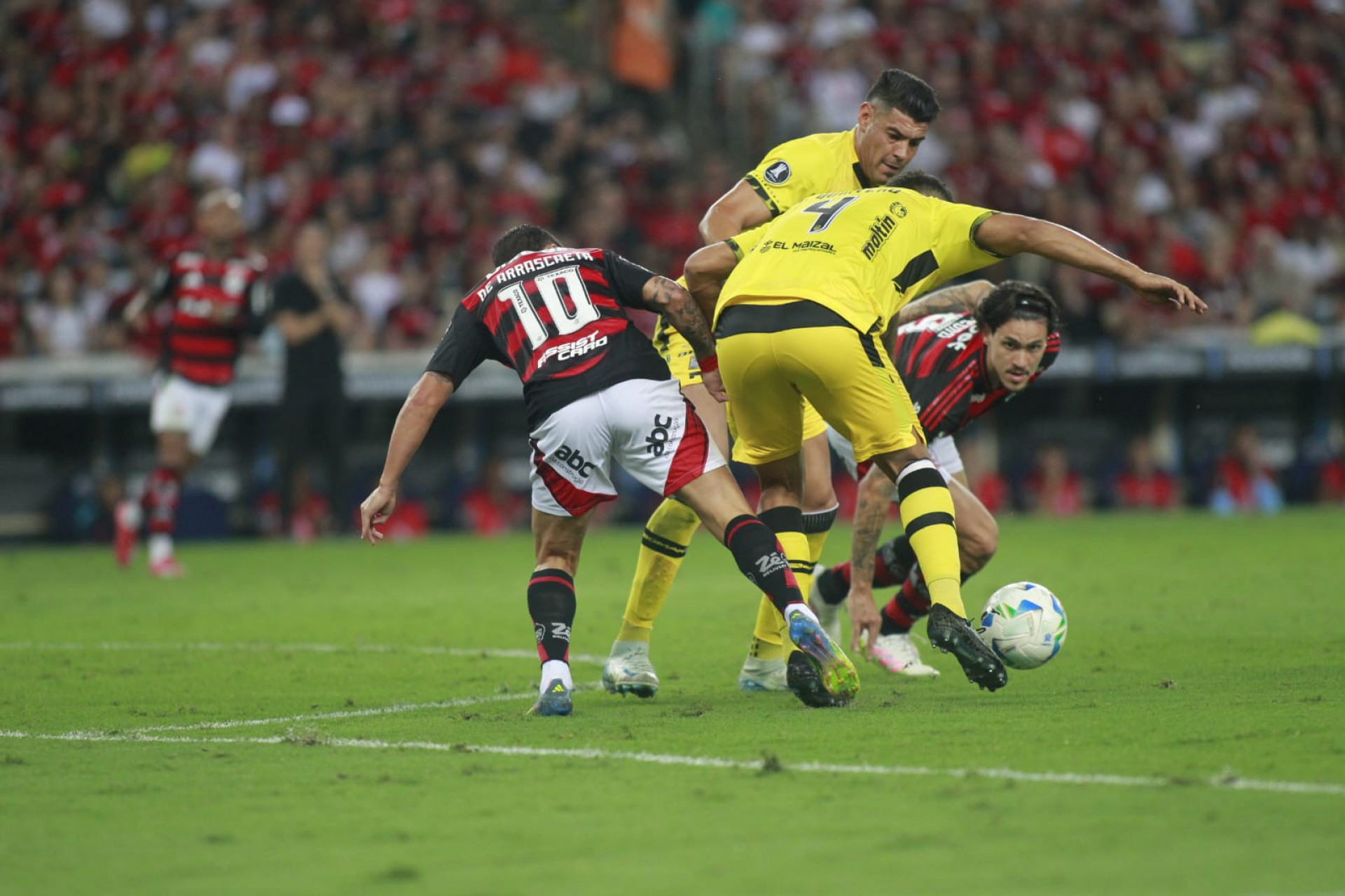 Flamengo x Deportivo Táchira, pela Libertadores - Reginaldo Pimenta / Agência O Dia