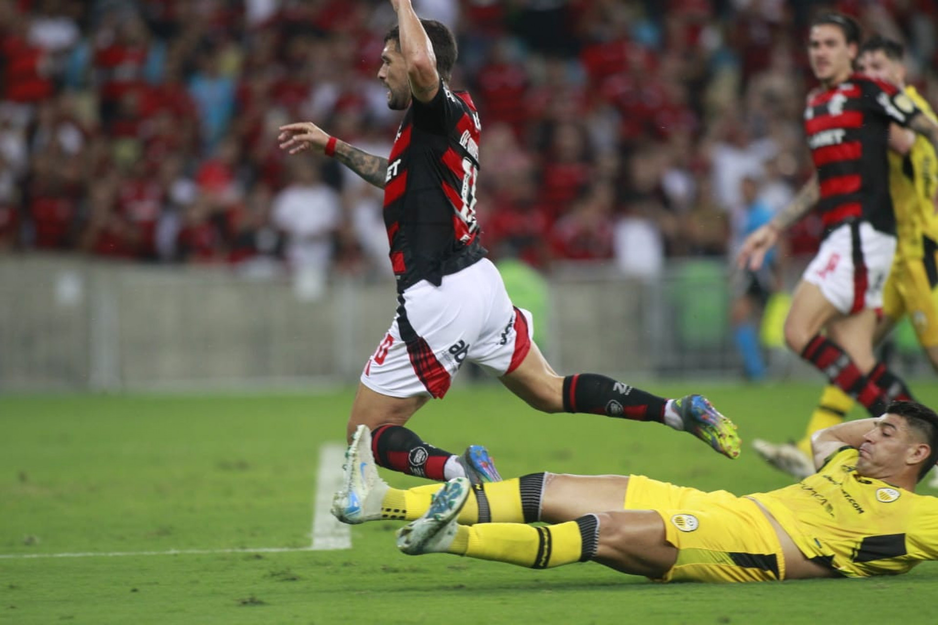 Flamengo x Deportivo Táchira, pela Libertadores - Reginaldo Pimenta / Agência O Dia