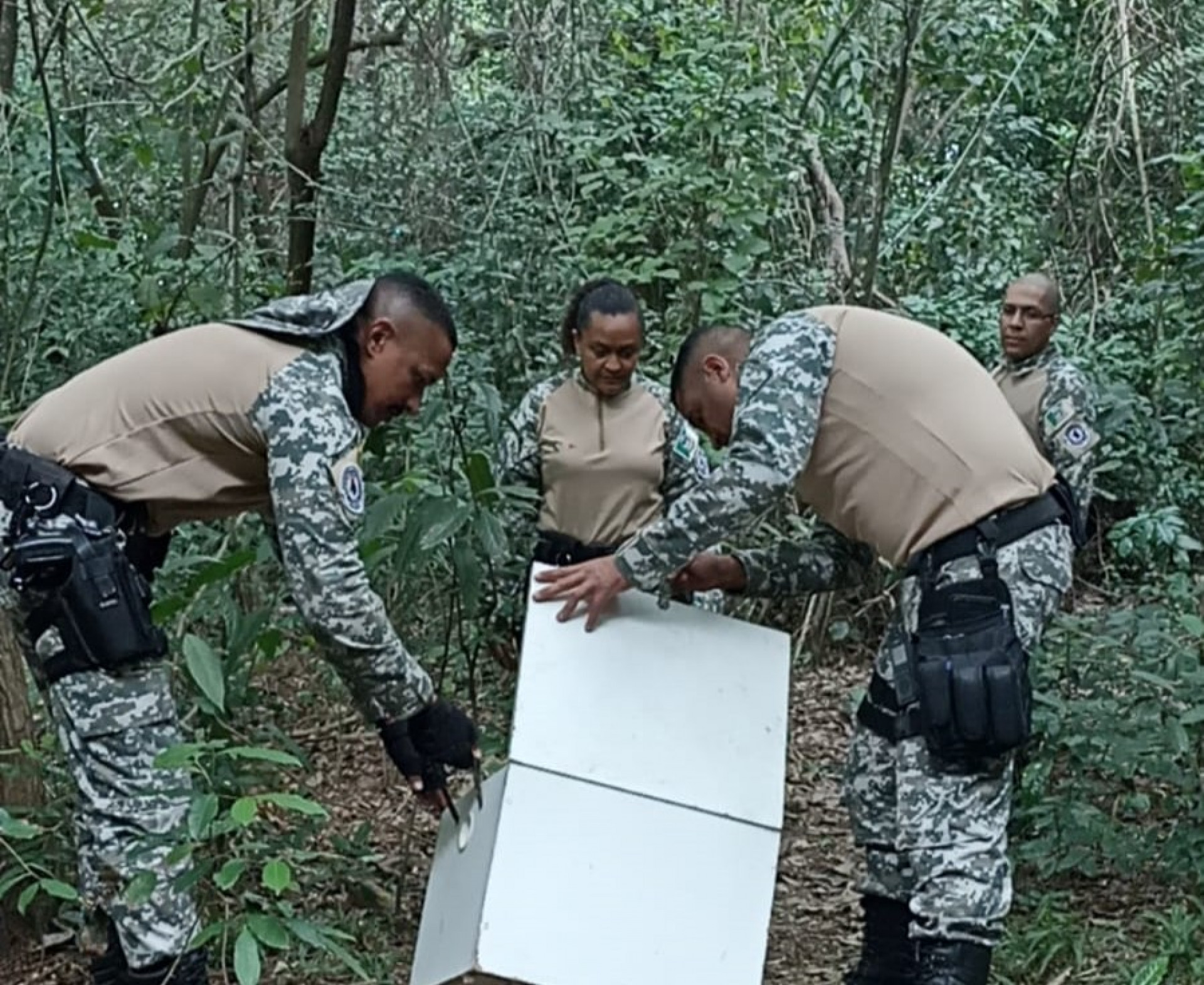 Grupamento T&aacute;tico Ambiental, o GTAM, prote&ccedil;&atilde;o para &aacute;reas urbanas e ambientais - Divulga&ccedil;&atilde;o/ PMM