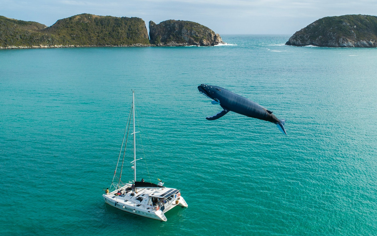 Temporada de Baleias