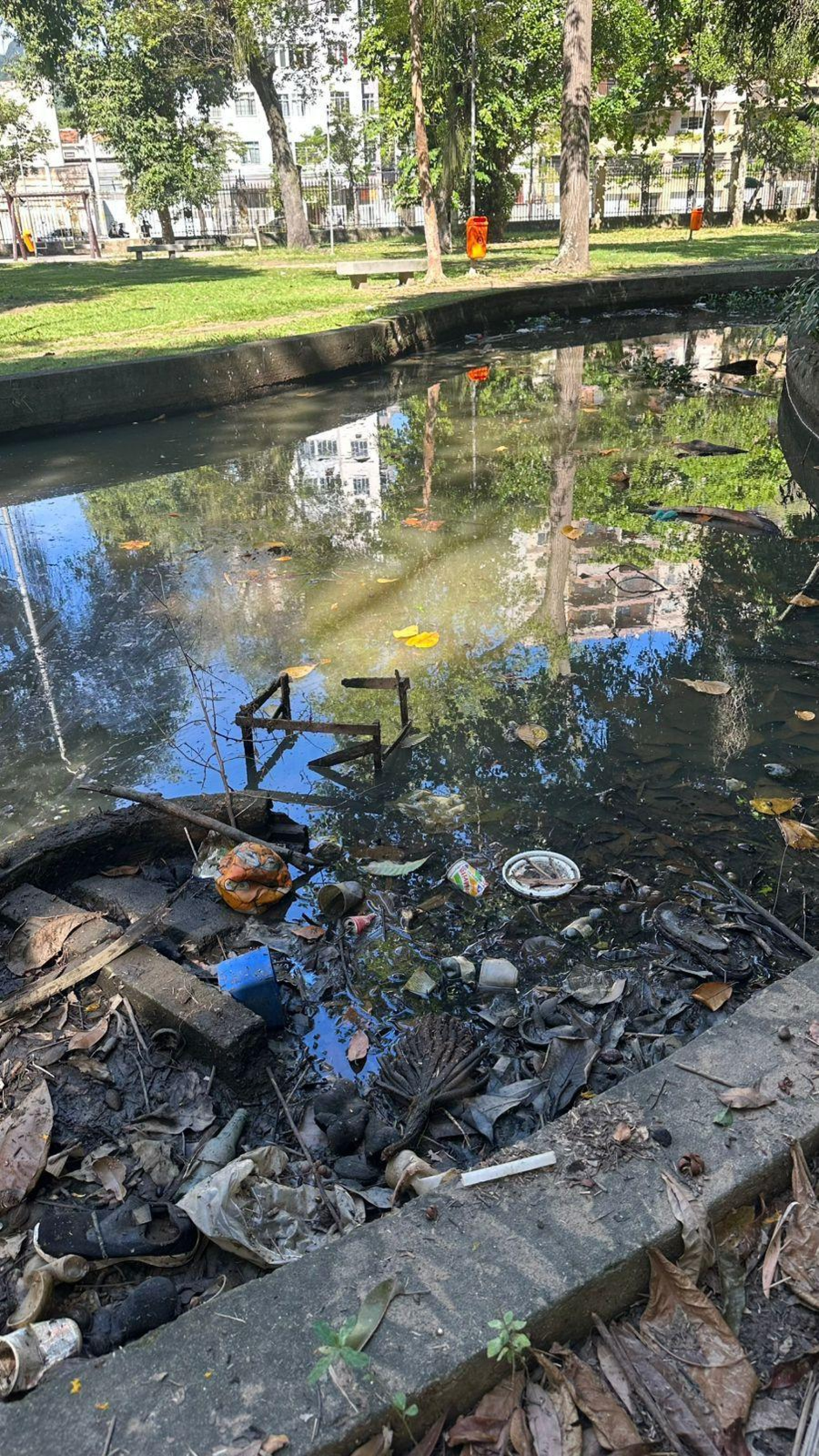 Mortes suspeitas de gatos expõem o estado de abandono do Parque Recanto do Trovador, na Zona Norte do Rio