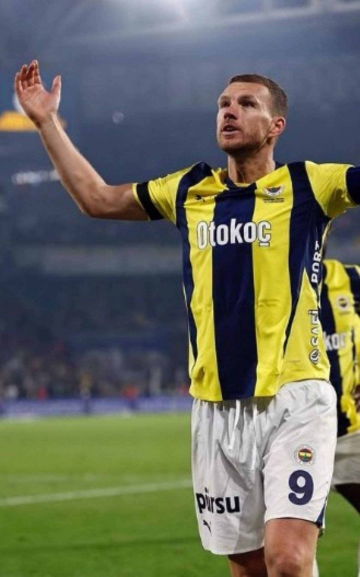 Edin Dzeko com a camisa do Fenerbahçe - Divulgação / Fenerbahçe