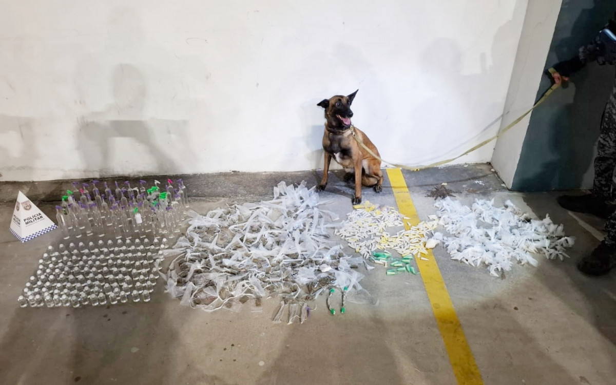 Patrulha com cães do BAC encontra sacolas recheadas de drogas em imóvel abandonado usado por traficantes