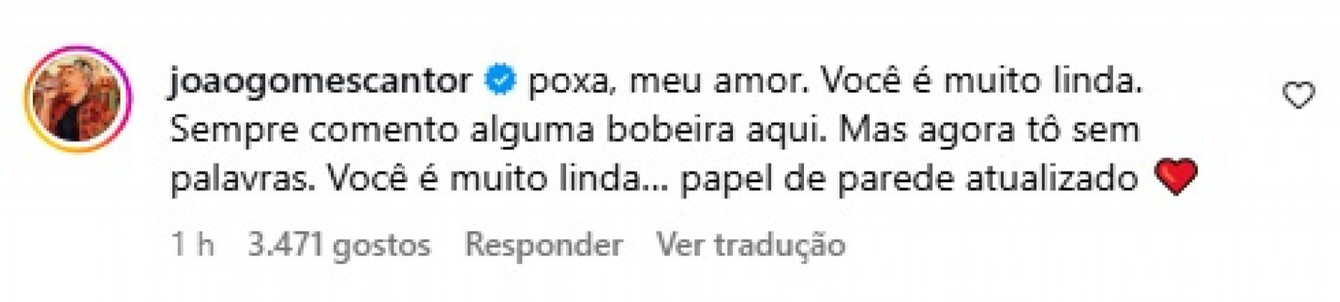 João Gomes elogiou beleza da mulher, Ary Mirelle - Reprodução/Instagram