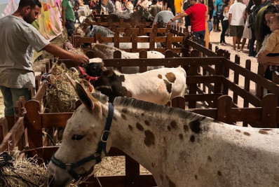 Niterói celebra a Semana do Meio Ambiente com ações que reforçam seu compromisso com a sustentabilidade