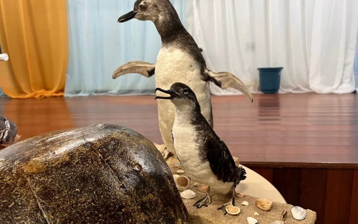 Estudantes atentos na Escola Ignácio Hugo durante palestra sobre impacto do lixo na vida dos animais