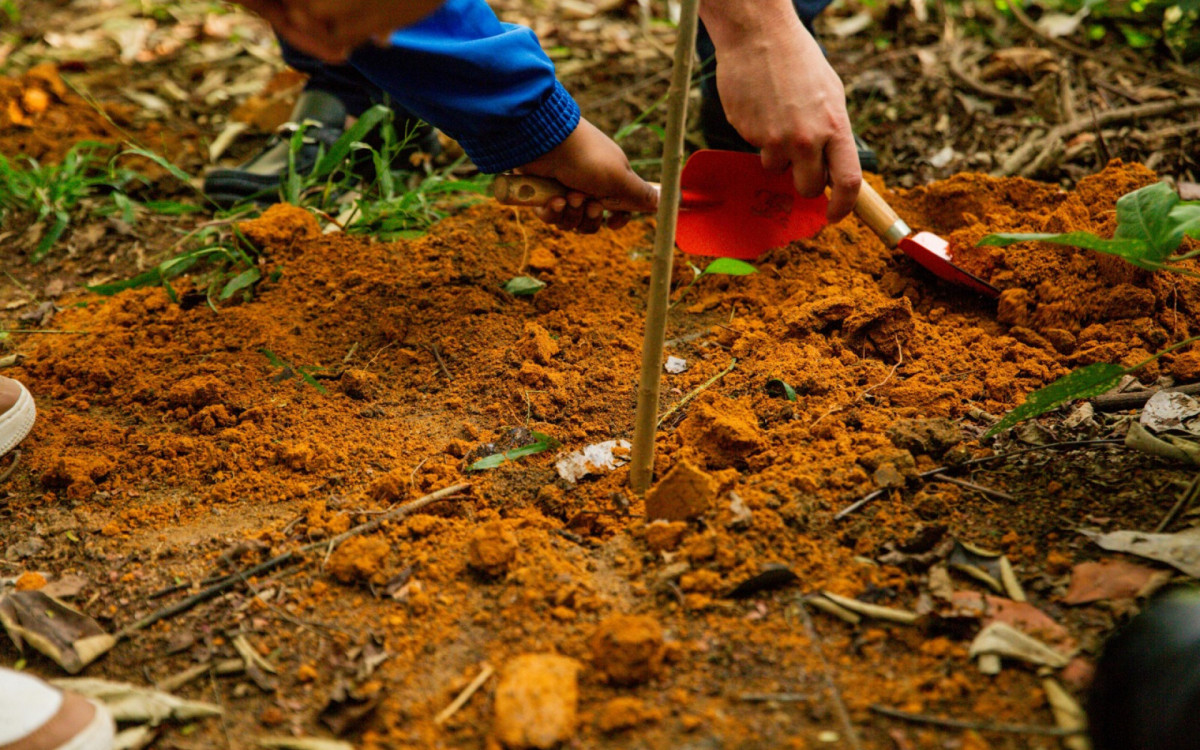 Semana do Meio Ambiente come&ccedil;a com plantio de mudas em Caxias - Divulga&ccedil;&atilde;o