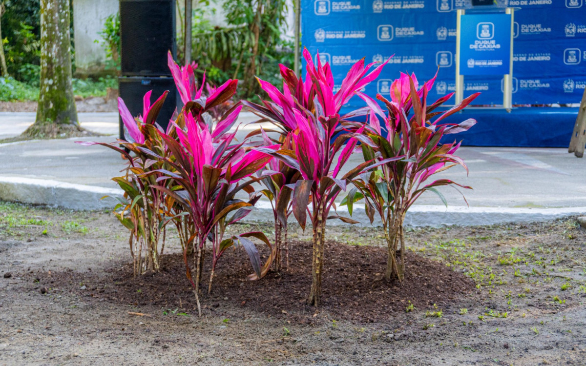 Prefeitura entrega primeira parte da reforma do Parque da Taquara - Divulga&ccedil;&atilde;o