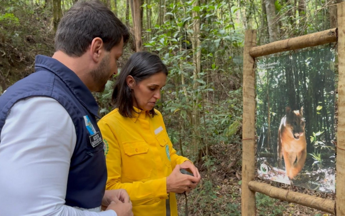 Câmeras foram instaladas na Rebio Araras