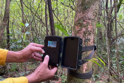 Câmeras de monitoramento de fauna são instaladas na Rebio Araras