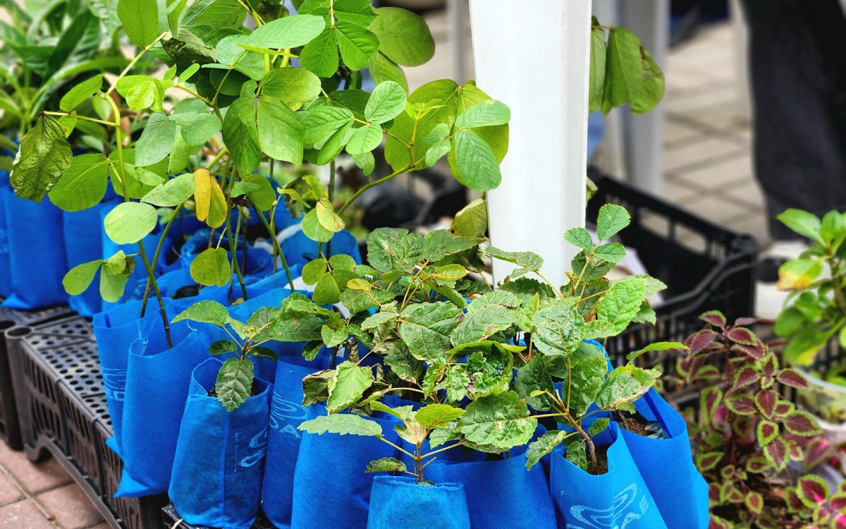 Mudas de plantas foram entregues aos participantes