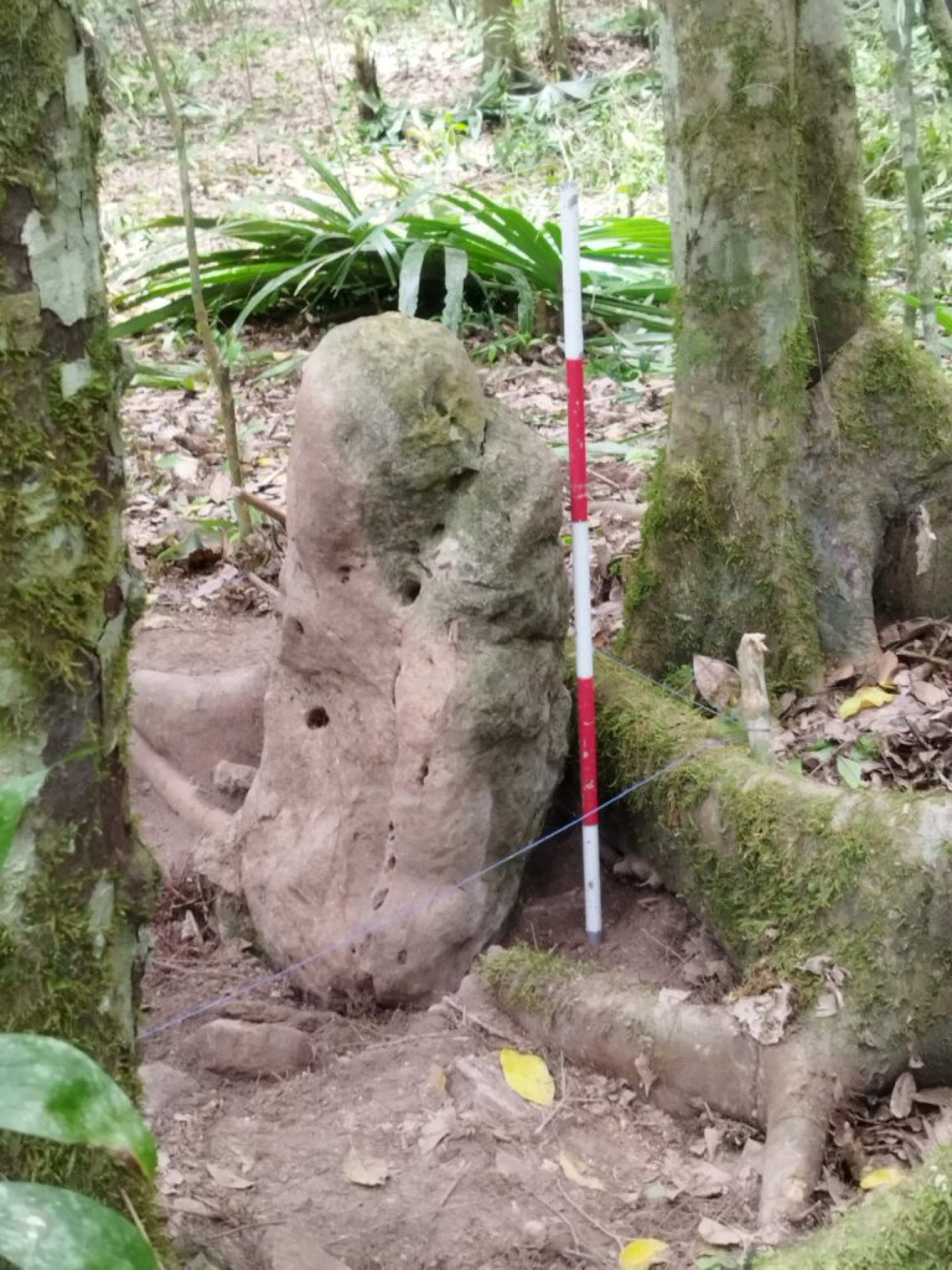 Uma das esculturas que deu ao sítio o nome de 'Abuelos' - Divulgação / Ministério dos Esportes e Cultura da Guatemala