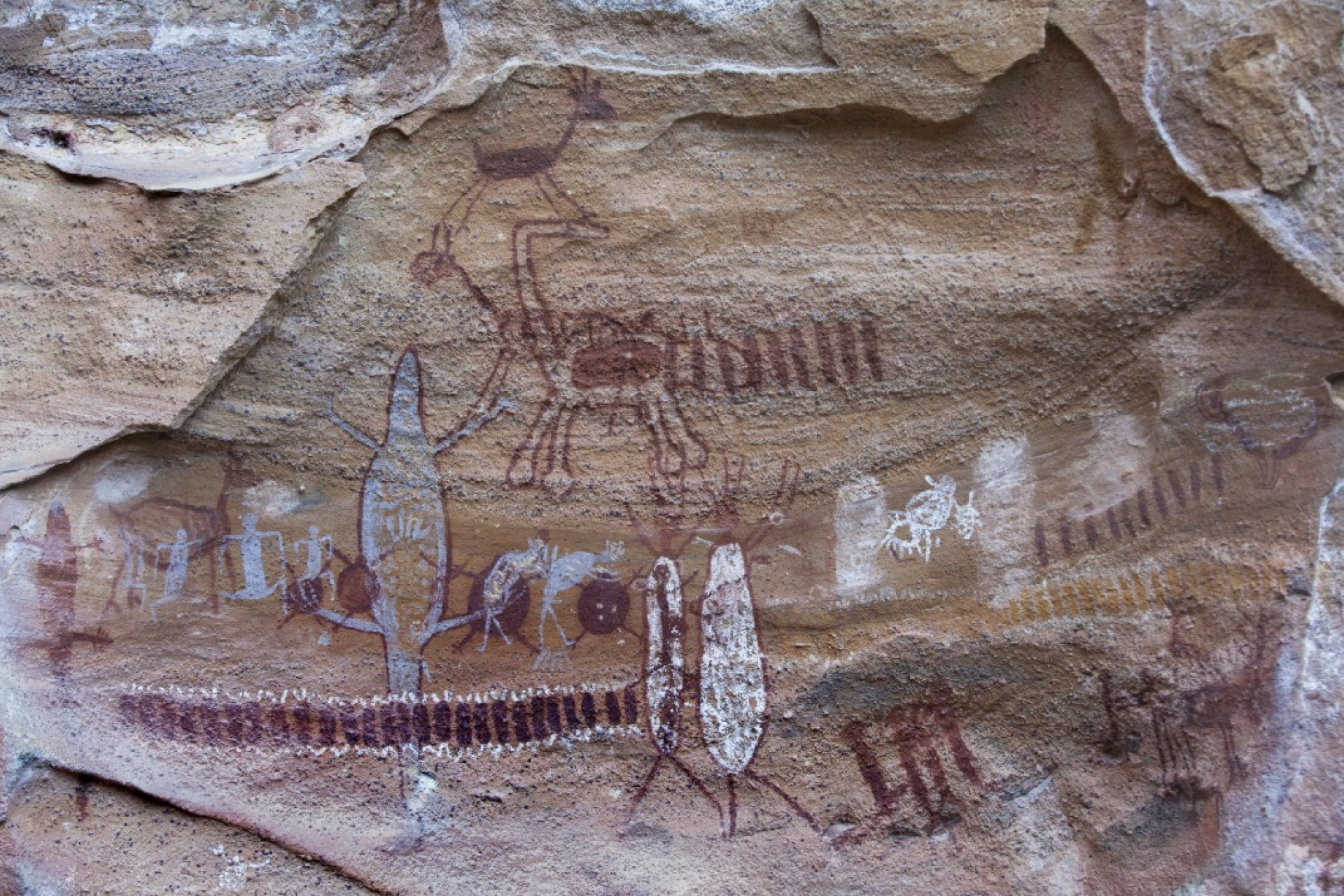 Niède Guidon liderou pesquisas quem revelaram diversas pinturas rupestres no Piauí - Divulgação/Fumdham