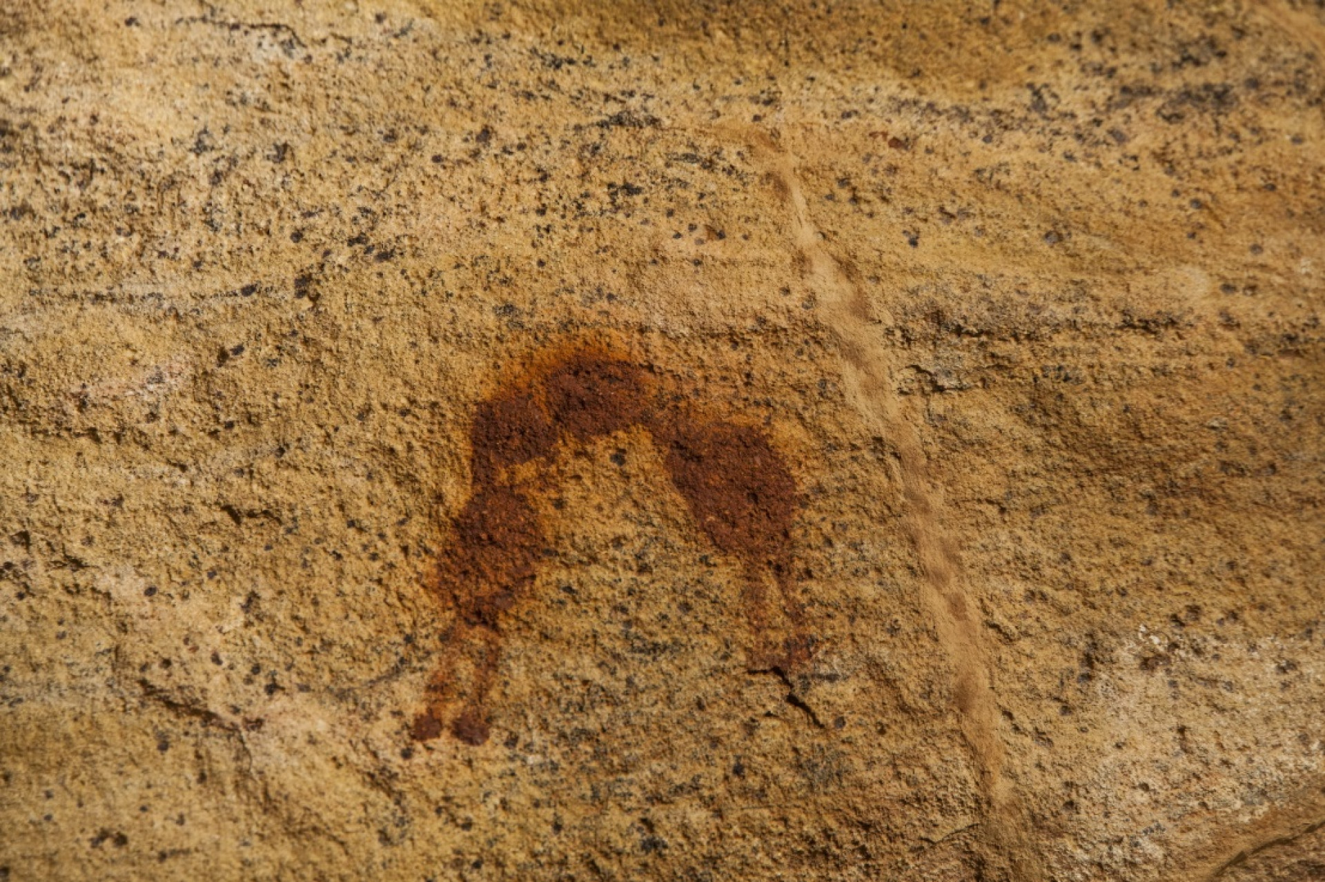 Descobertas de Niède Guidon mudaram a percepção da história do homem na América - Divulgação/Fumdham