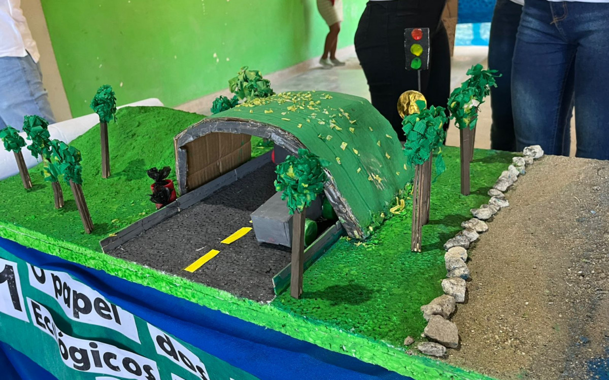 Os alunos construíram maquetes, cartazes e apresentações sobre biodiversidade, conservação de florestas, espécies marinhas, entre outros