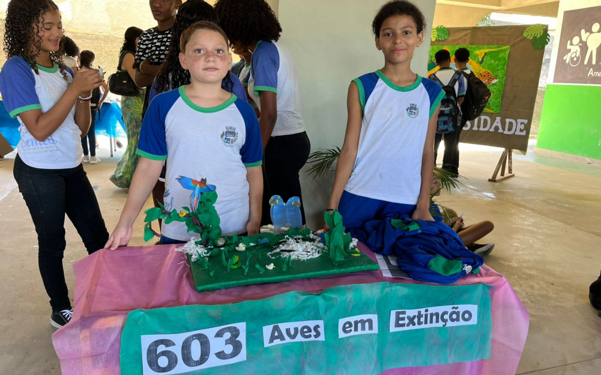 Durante semanas, os alunos pesquisaram temas relacionados à natureza e à sustentabilidade