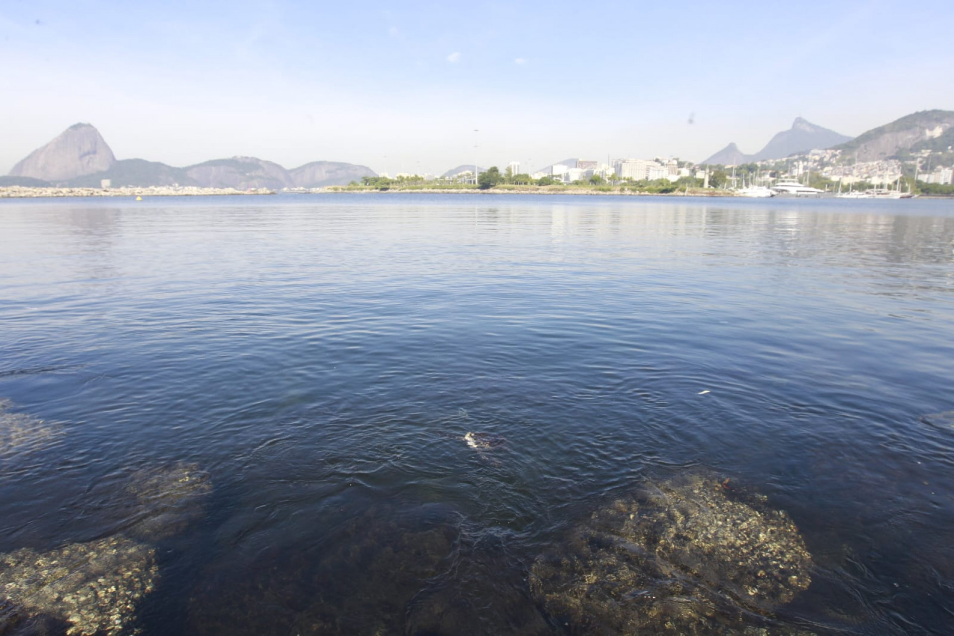 Baía de Guanabara, no trecho próximo ao aeroporto Santos Dumont, nesta quinta-feira (5) - Reginaldo Pimenta / Agência O Dia