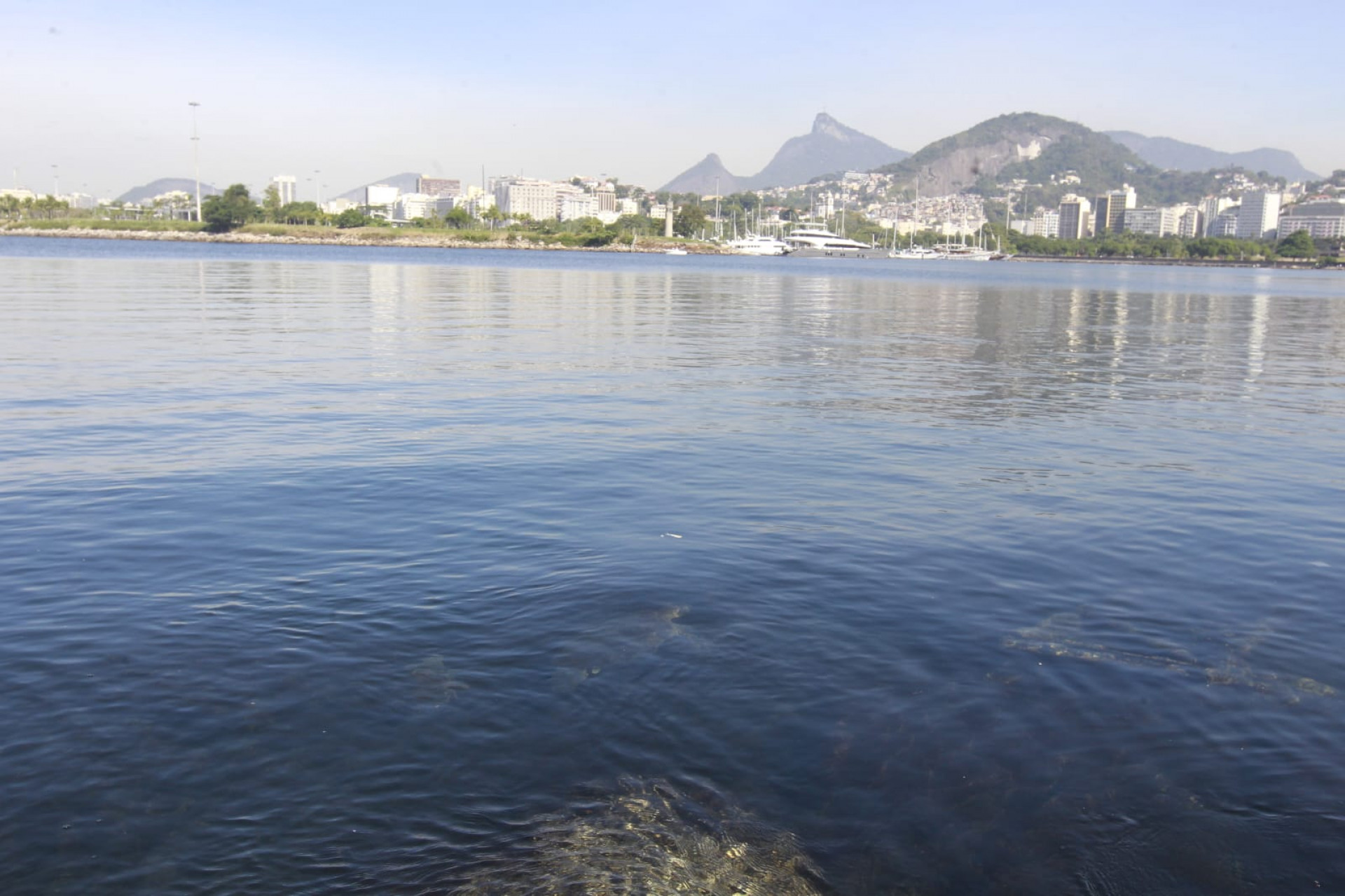 Baía de Guanabara, no trecho próximo ao aeroporto Santos Dumont, nesta quinta-feira (5) - Reginaldo Pimenta / Agência O Dia