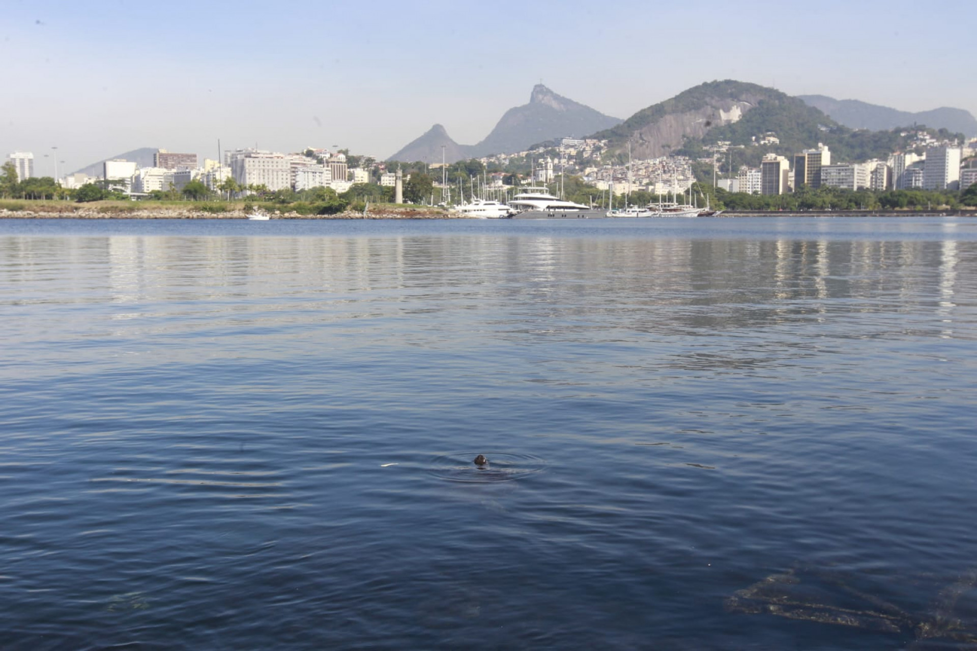 Baía de Guanabara, no trecho próximo ao aeroporto Santos Dumont, nesta quinta-feira (5) - Reginaldo Pimenta / Agência O Dia