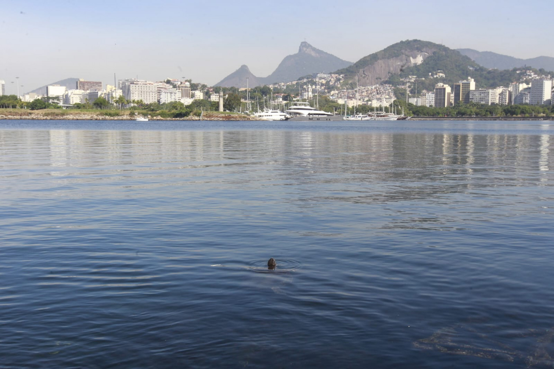 Baía de Guanabara, no trecho próximo ao aeroporto Santos Dumont, nesta quinta-feira (5) - Reginaldo Pimenta / Agência O Dia