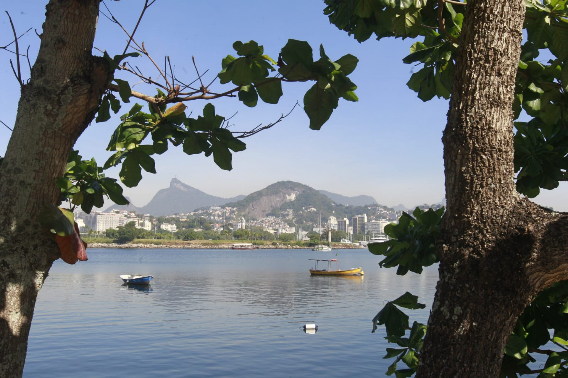 Baía de Guanabara, no trecho próximo ao aeroporto Santos Dumont, nesta quinta-feira (5) - Reginaldo Pimenta / Agência O Dia