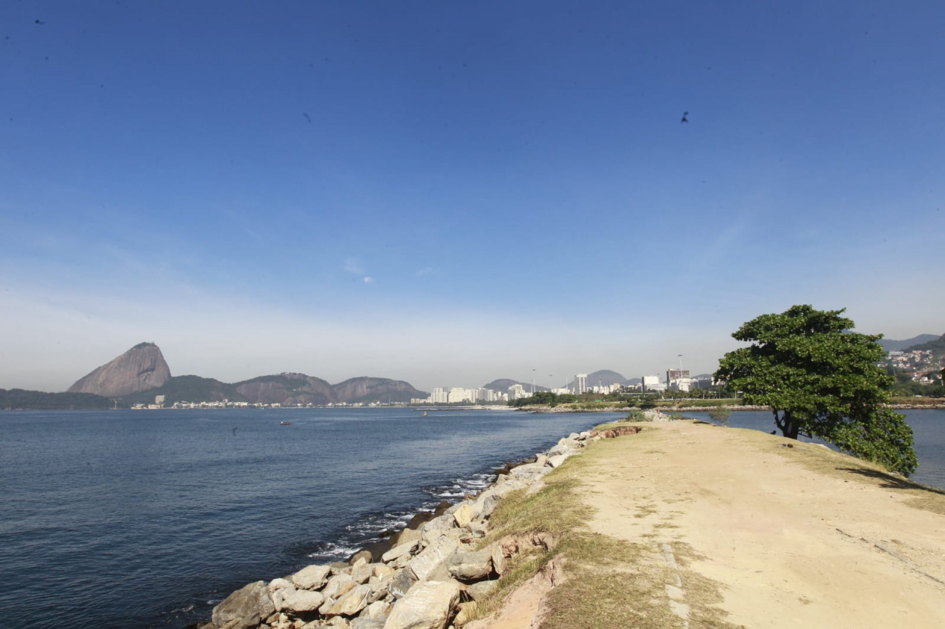 Baía de Guanabara, no trecho próximo ao aeroporto Santos Dumont, nesta quinta-feira (5) - Reginaldo Pimenta / Agência O Dia
