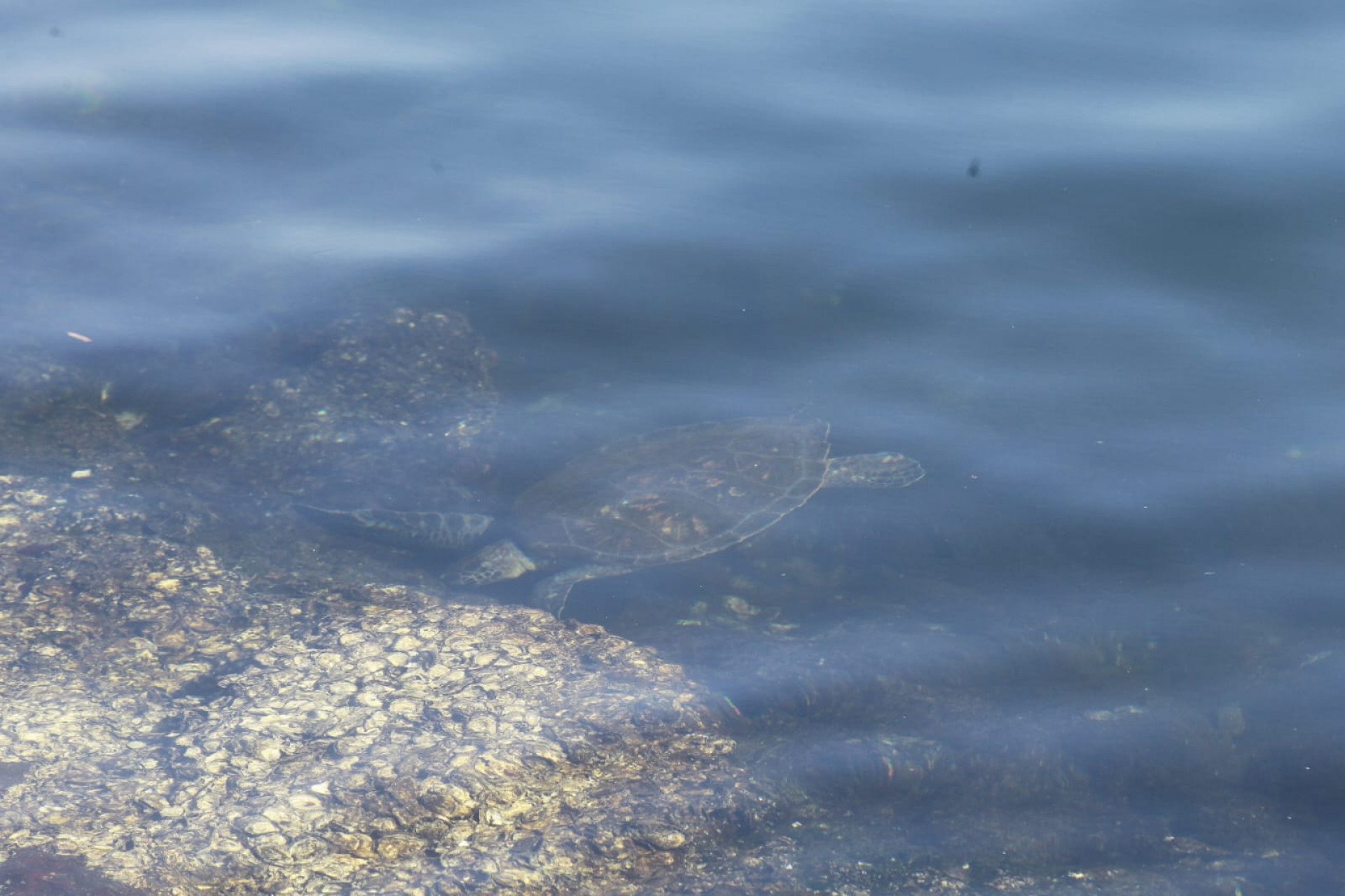 Baía de Guanabara, no trecho próximo ao aeroporto Santos Dumont, nesta quinta-feira (5) - Reginaldo Pimenta / Agência O Dia
