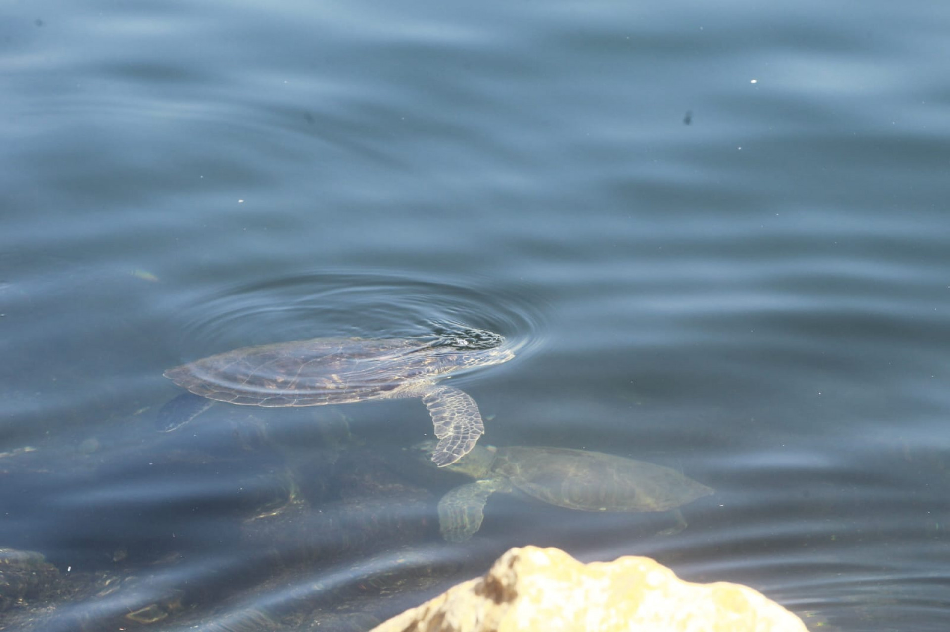 Baía de Guanabara, no trecho próximo ao aeroporto Santos Dumont, nesta quinta-feira (5) - Reginaldo Pimenta / Agência O Dia