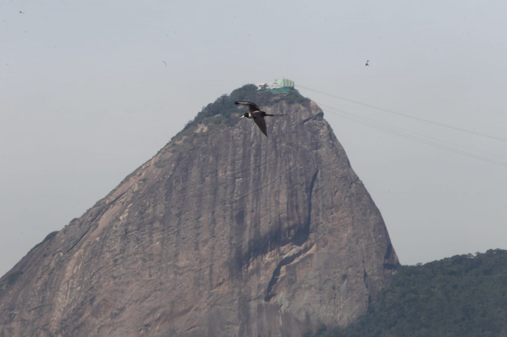 Baía de Guanabara, no trecho próximo ao aeroporto Santos Dumont, nesta quinta-feira (5) - Reginaldo Pimenta / Agência O Dia