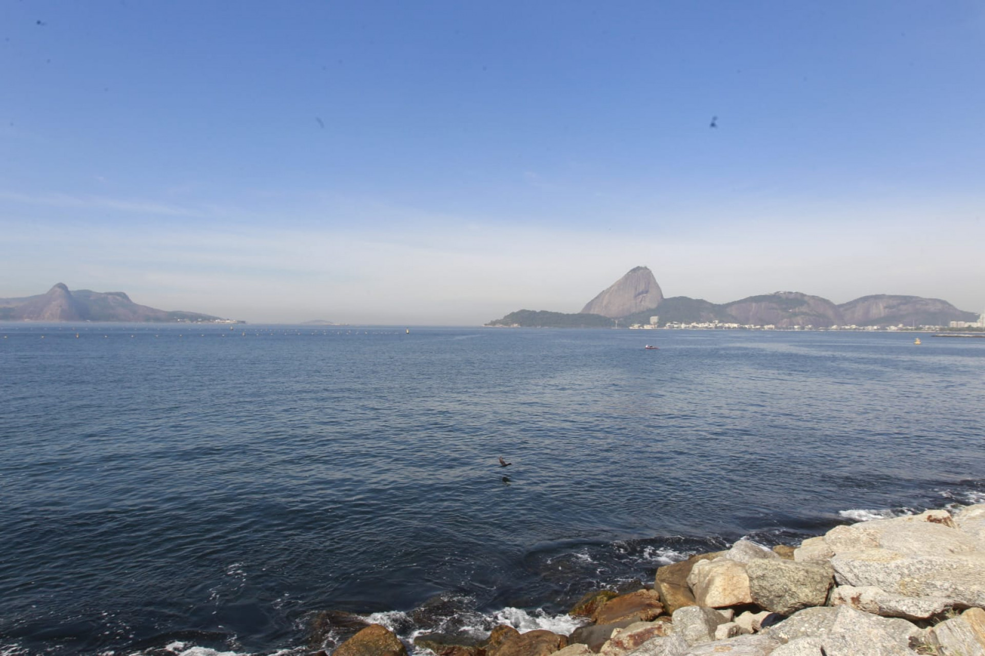 Baía de Guanabara, no trecho próximo ao aeroporto Santos Dumont, nesta quinta-feira (5) - Reginaldo Pimenta / Agência O Dia