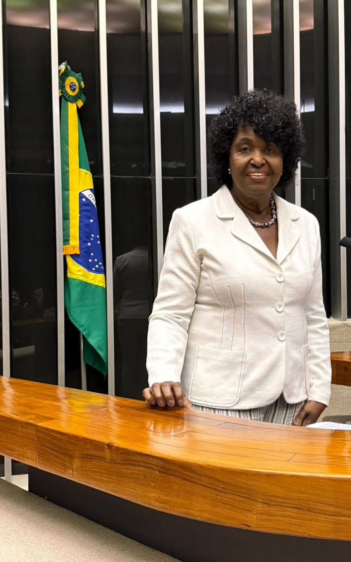 A deputada federal Benedita da Silva - Reprodução/Instagram