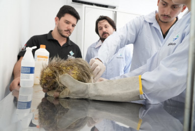 ASAS de São Gonçalo celebra três anos com mais de 2.500 resgates de animais