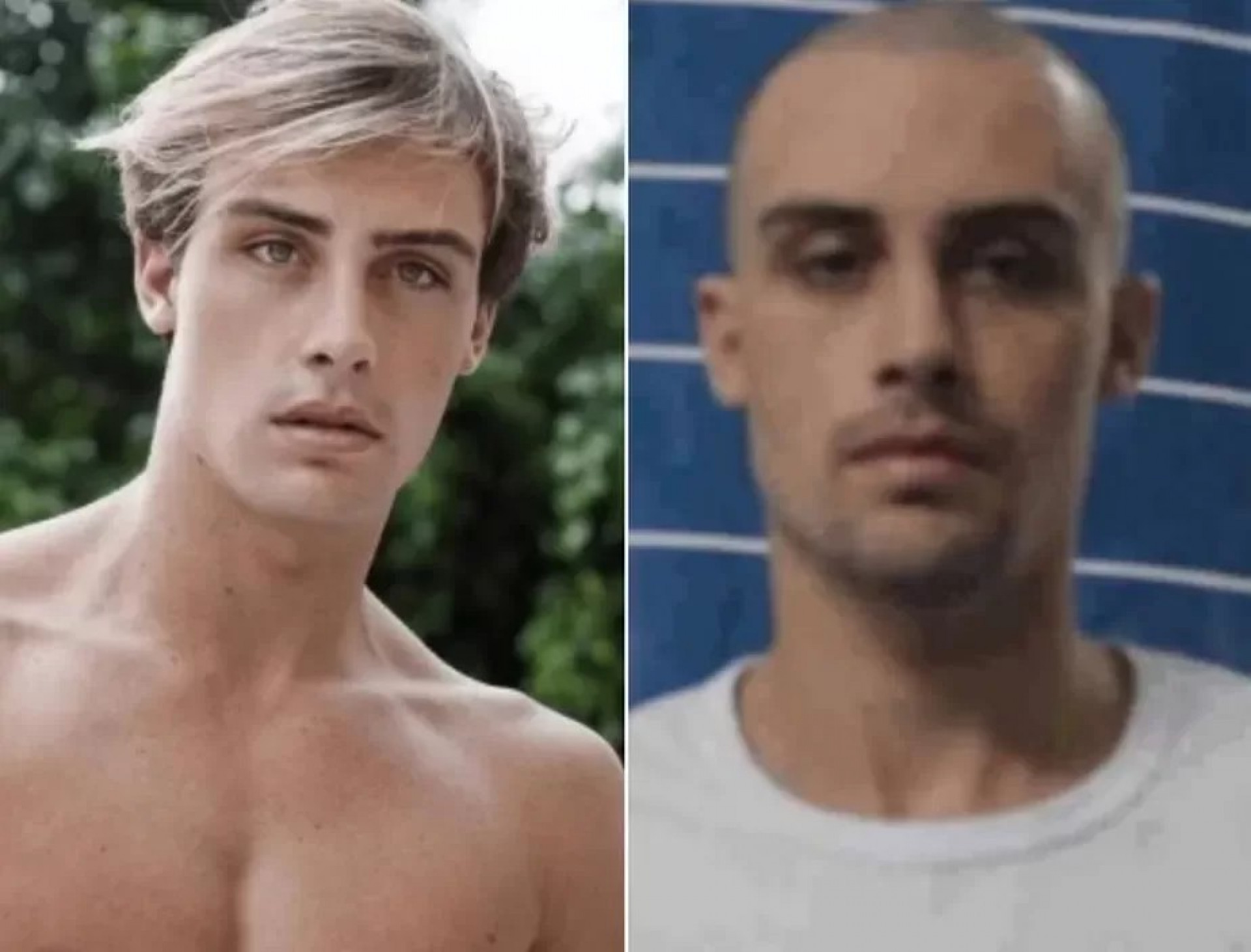 Modelo Bruno Krupp - Reprodu&ccedil;&atilde;o