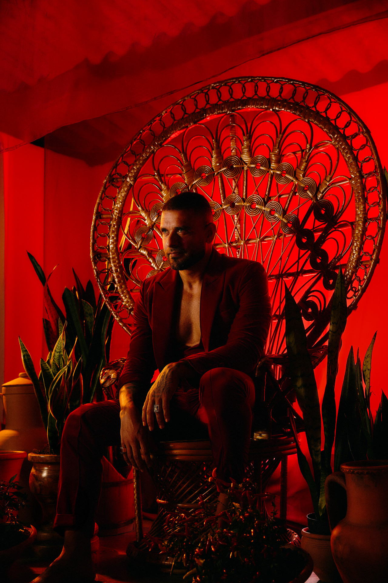 Diogo Nogueira lança novo álbum - Bruna Sussekind / Divulgação