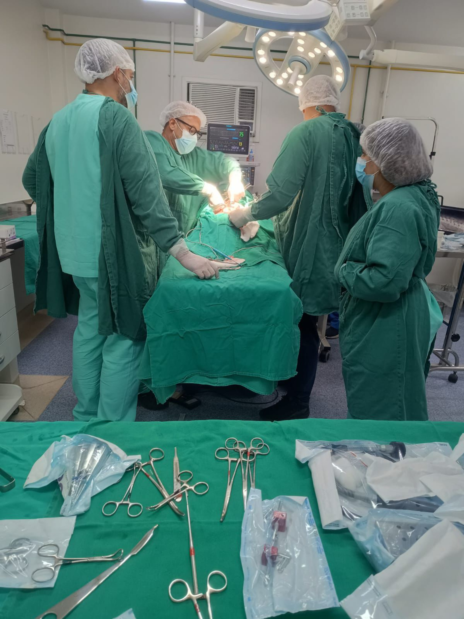 Equipe que realizou a operação tinha sete veterinários e quatro auxiliares - Divulgação / Secretaria Municipal de Proteção e Defesa dos Animais