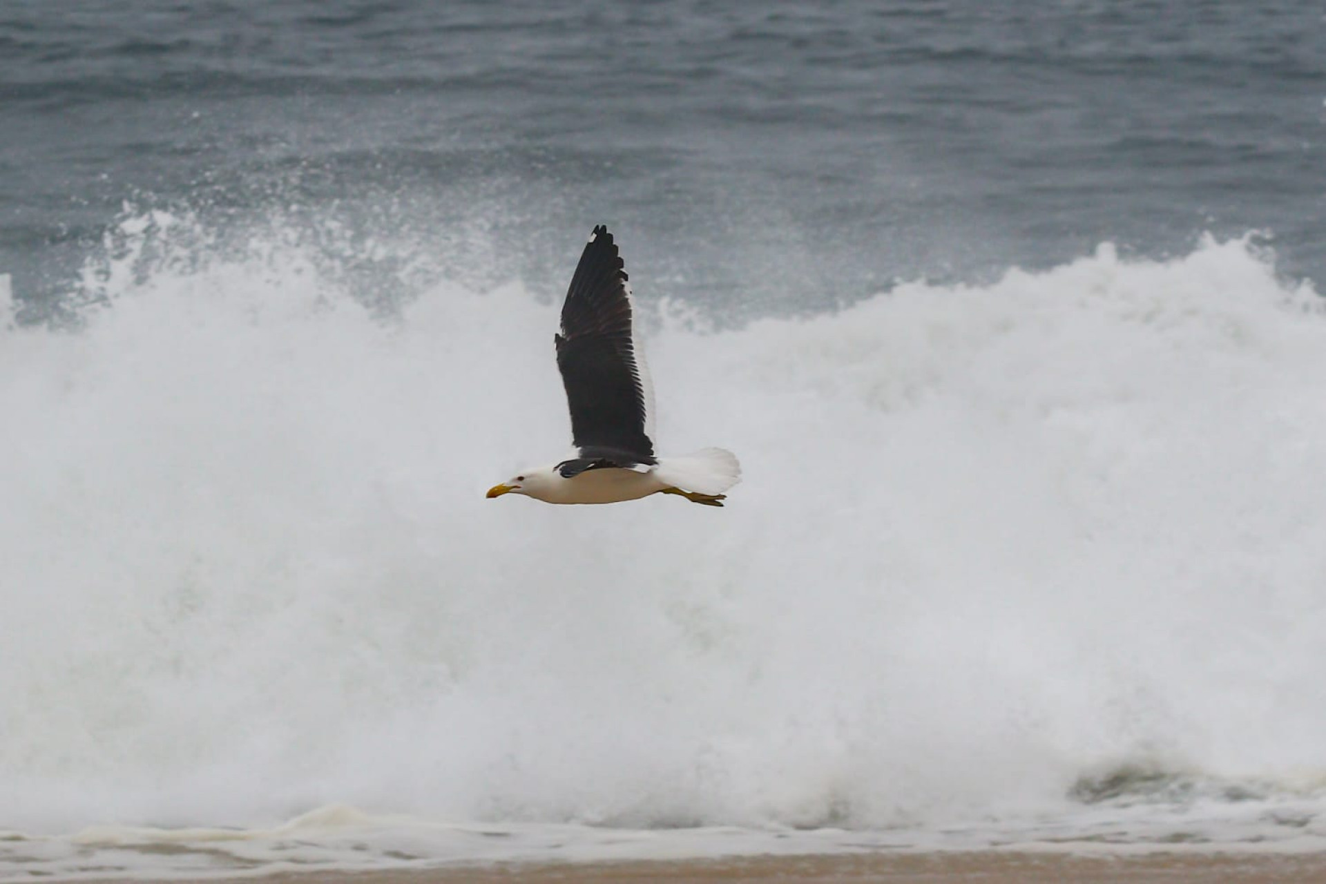 Tempo nublado na orla de Copacabana, na Zona Sul - Érica Martin/Agência O Dia