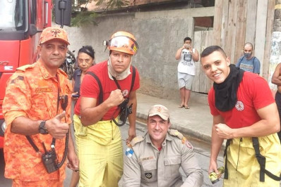 Parceria da Secretaria de Proteção dos Animais e Bombeiros resgata cão que caiu em bueiro em Belford Roxo