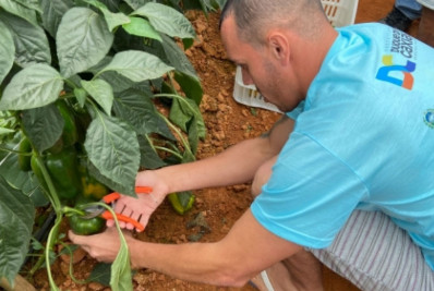 Integrantes de ONG americana visitam Fazenda Paraíso