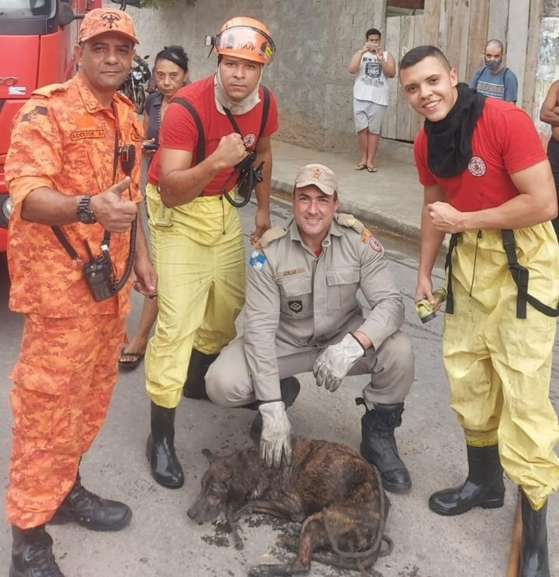 Os bombeiros militares, subtenentes Jorlan e Adeilton, cabo Constantino e  soldado Nunes, agiram rápido e salvaram o cachorro que estava no bueiro