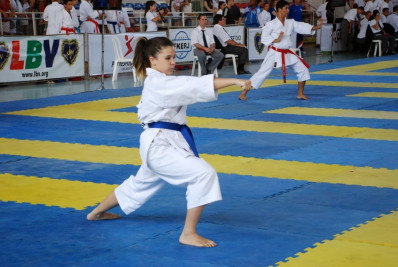29º Campeonato Sul-Sudeste de Karatê-DÔ acontece neste fim de semana no Ginásio Pedrão