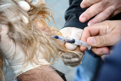 Barra Mansa intensifica ações de combate à leishmaniose visceral canina