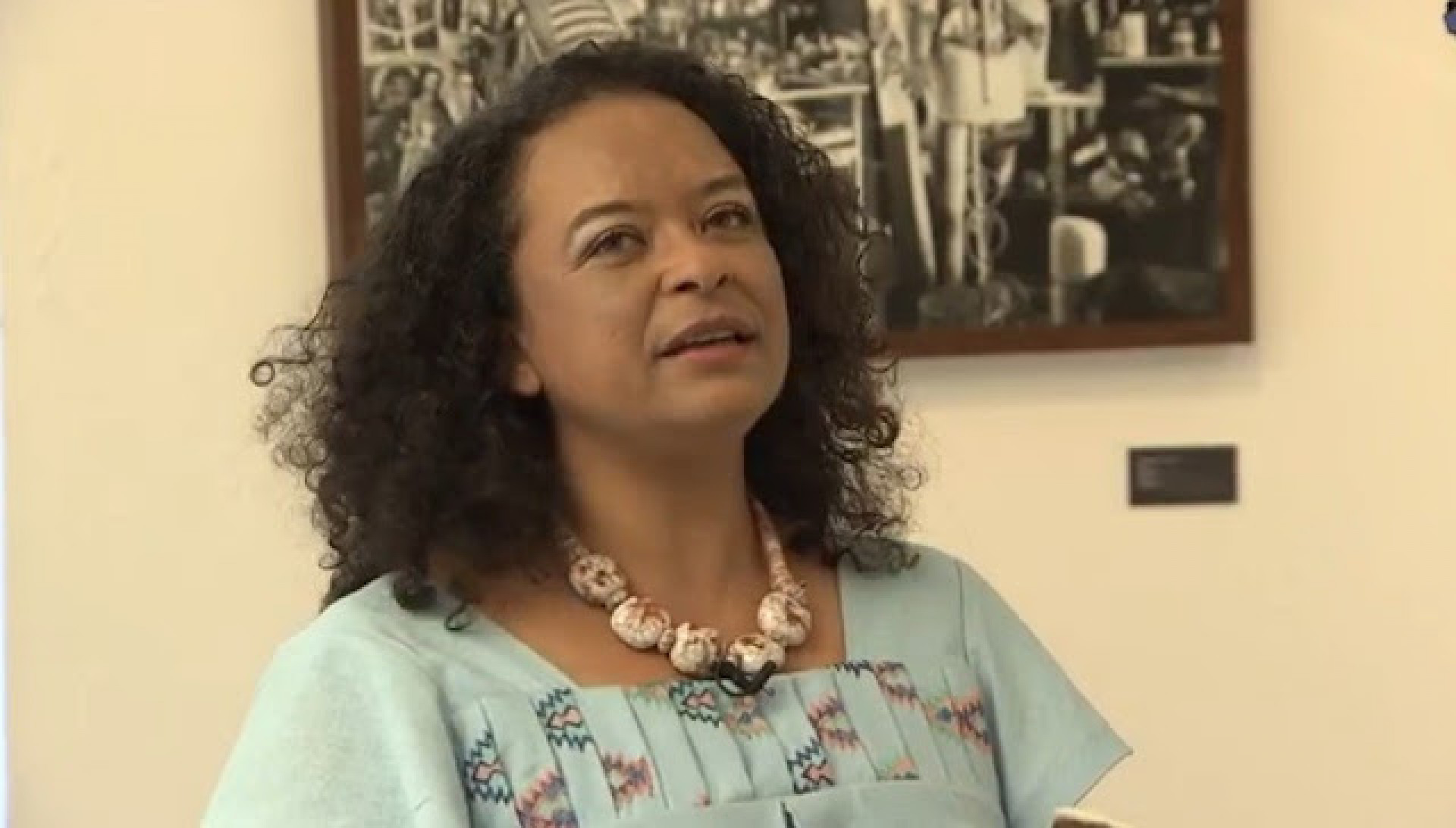 Ana Maria Gon&ccedil;alves  - Divulga&ccedil;&atilde;o