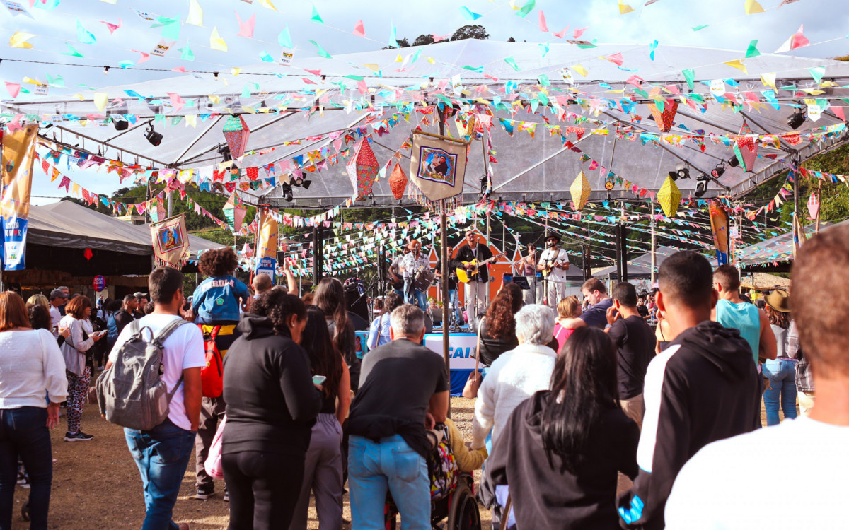 Arraiá Amor Perfeito