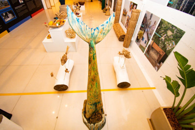 Centro de Memória dos Povos Originários e Tradicionais da Costa Verde divulga programação cultural gratuita para junho